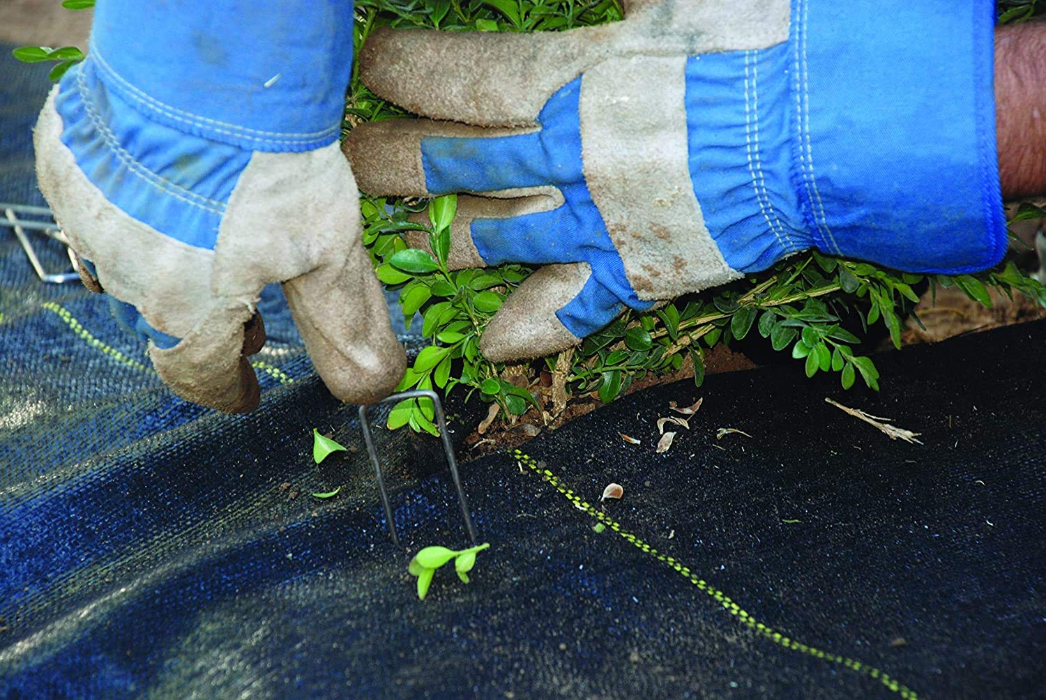 Dewitt Professional Max Weed Control, 4.1 oz, Black, 5' x 250' - Commercial-Grade Landscape Barrier & Ground Cover Fabric for Gardening & Erosion Management - Image 9