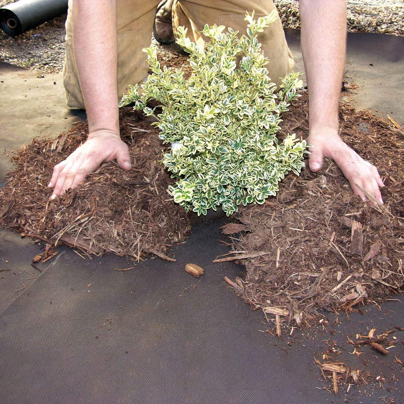 Dewitt 30 Year Professional Weed Control Fabric 3 oz, Brown, 3 x 100 Feet – Heavy-Duty Landscape Barrier and Ground Cover for Gardens, Raised Beds, Walkways, and Outdoor Landscaping - Image 8
