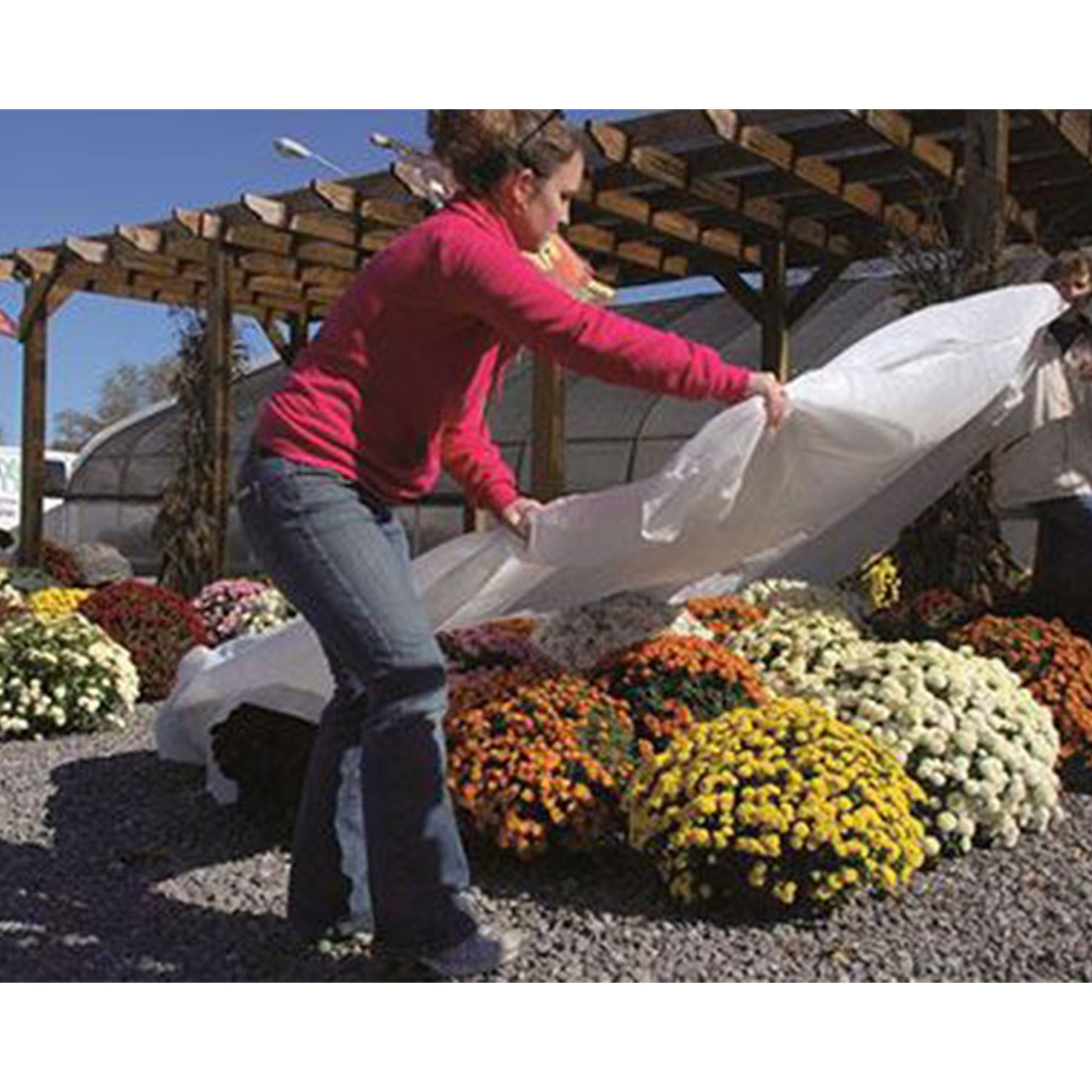 Dewitt N-Sulate Plant Cover Fabric 1.5 oz, 12 x 250 Feet – Frost Cloth Blanket for Vegetables, Flowers, Fruit Trees, Tomatoes, Raised Garden Beds, and Outdoor Winter Freeze Protection - Image 6