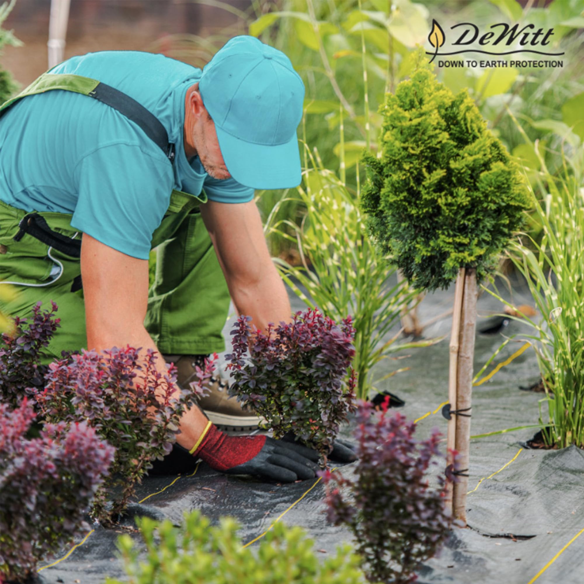 Dewitt Sunbelt Weed Barrier Fabric 3.2 oz, 4 x 100 Feet – Heavy-Duty Ground Cover Mat for Greenhouse Floors, Garden Rows, Raised Beds, Yard Gardening, and Outdoor Landscape Protection - Image 6