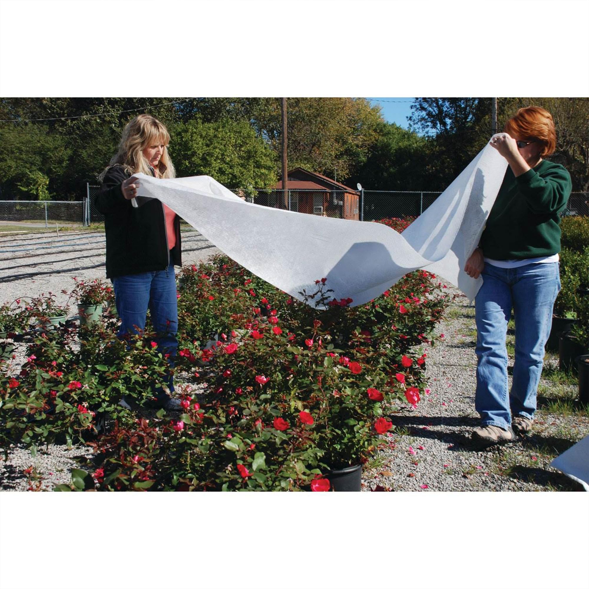 Dewitt 2-Pack Supreme Plant Cover Fabric 1.5 oz, 6 x 50 Feet – Frost Cloth Blanket for Vegetables, Flowers, Fruit Trees, Tomatoes, Raised Garden Beds, and Outdoor Winter Freeze Protection - Image 5